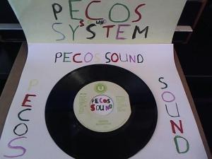 Hud-2 vinyl photos 1325