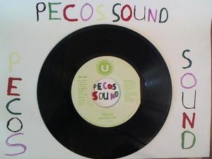 Hud-2 vinyl photos 1327