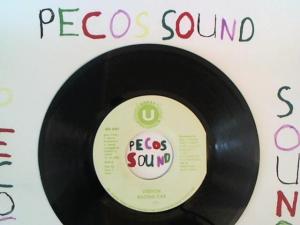 Hud-2 vinyl photos 1328