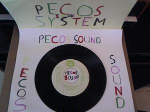 Hud-2 vinyl photos 1331