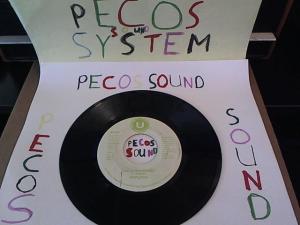 Hud-2 vinyl photos 1338