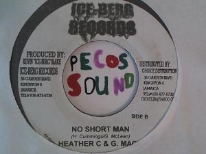 Hud-2 vinyl photos 1339