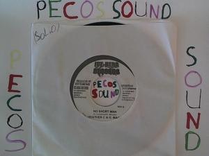 Hud-2 vinyl photos 1340