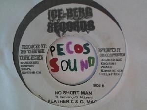 Hud-2 vinyl photos 1341