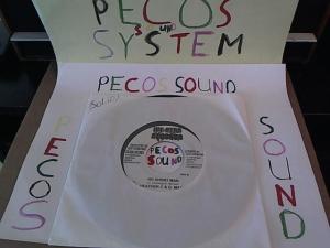 Hud-2 vinyl photos 1342