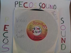 Hud-2 vinyl photos 1342