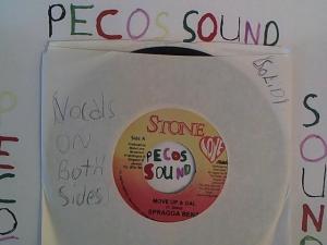 Hud-2 vinyl photos 1343