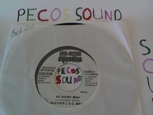 Hud-2 vinyl photos 1344