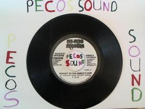 Hud-2 vinyl photos 1345