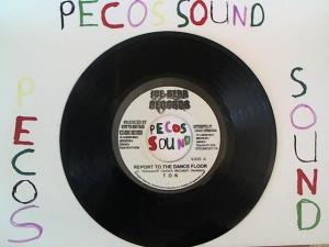 Hud-2 vinyl photos 1346