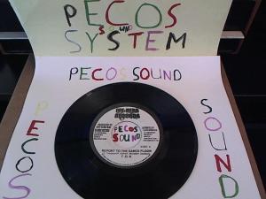 Hud-2 vinyl photos 1349