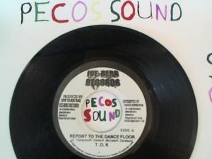 Hud-2 vinyl photos 1351