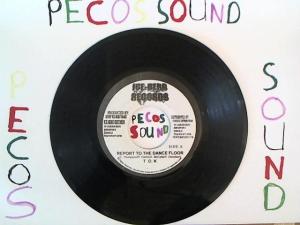 Hud-2 vinyl photos 1353