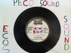 Hud-2 vinyl photos 1356