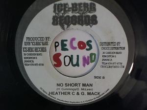 Hud-2 vinyl photos 1358