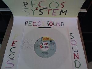 Hud-2 vinyl photos 1366