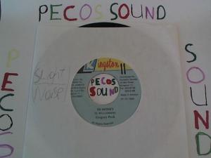 Hud-2 vinyl photos 1367