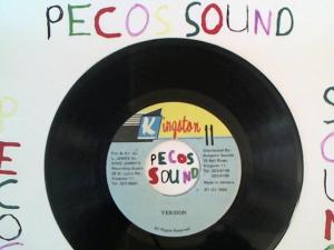 Hud-2 vinyl photos 1371