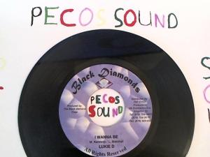 Hud-2 vinyl photos 1465