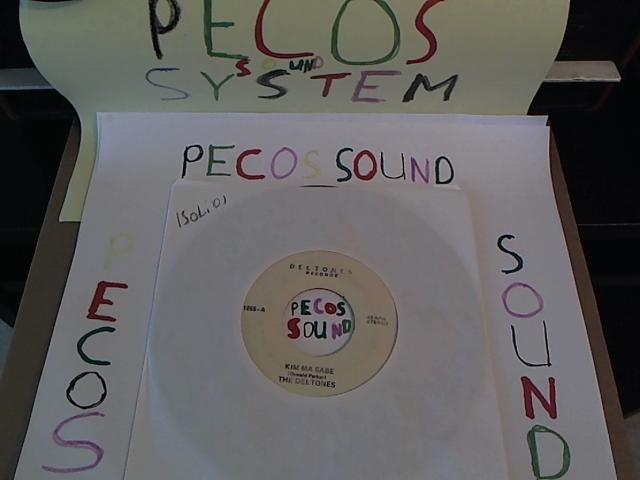 Hud-2 vinyl photos 1483