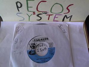 Hud-2 vinyl photos 1491