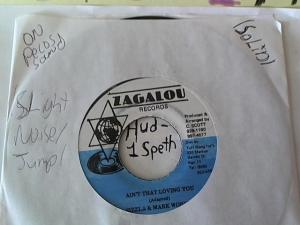 Hud-2 vinyl photos 1494