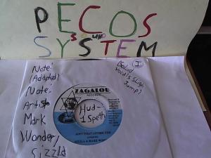 Hud-2 vinyl photos 1495