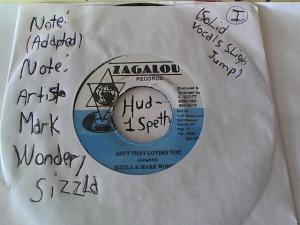 Hud-2 vinyl photos 1496