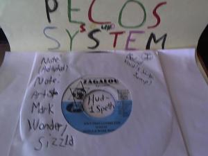 Hud-2 vinyl photos 1498