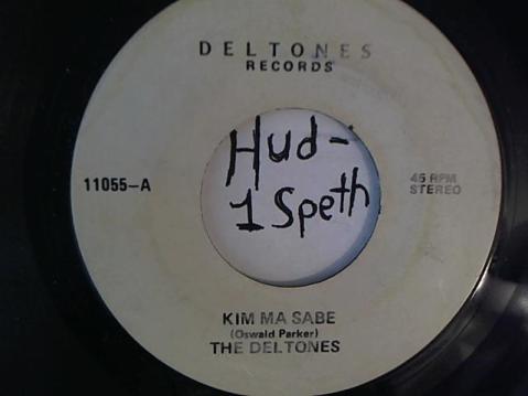 Hud-2 vinyl photos 1498