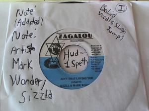 Hud-2 vinyl photos 1499