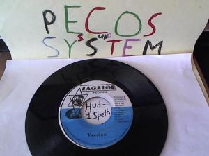 Hud-2 vinyl photos 1503