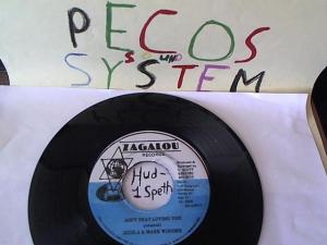 Hud-2 vinyl photos 1504