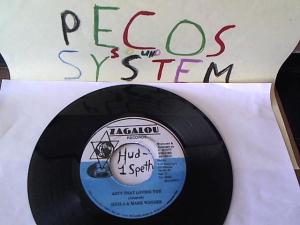 Hud-2 vinyl photos 1505