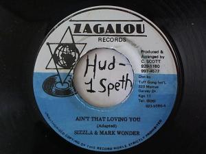 Hud-2 vinyl photos 1507