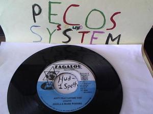 Hud-2 vinyl photos 1508