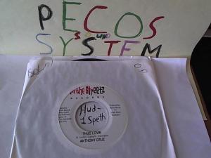 Hud-2 vinyl photos 1509