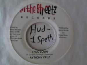 Hud-2 vinyl photos 1512