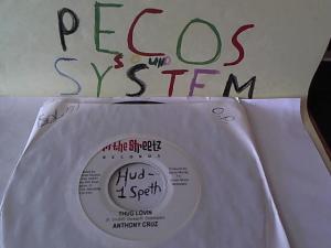 Hud-2 vinyl photos 1514