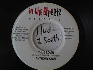 Hud-2 vinyl photos 1520