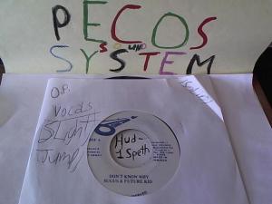 Hud-2 vinyl photos 1523