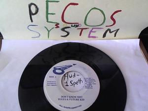 Hud-2 vinyl photos 1530