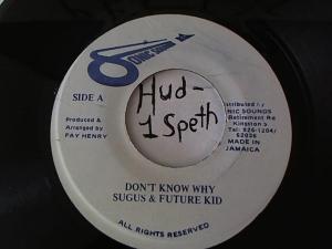 Hud-2 vinyl photos 1531