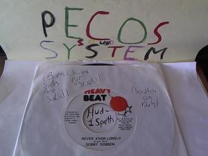 Hud-2 vinyl photos 1534