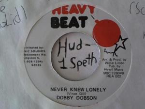 Hud-2 vinyl photos 1537