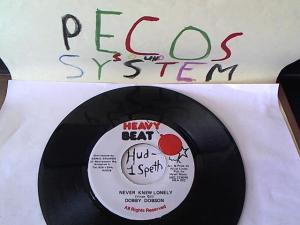 Hud-2 vinyl photos 1545