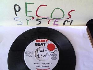 Hud-2 vinyl photos 1546