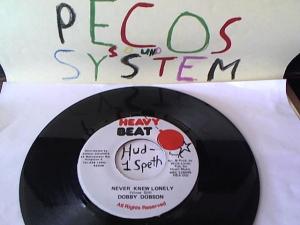 Hud-2 vinyl photos 1550