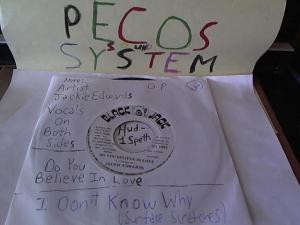 Hud-2 vinyl photos 1551