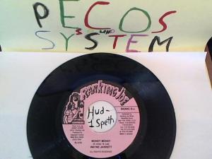 Hud-2 vinyl photos 1620